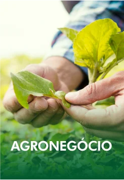 agronegocio