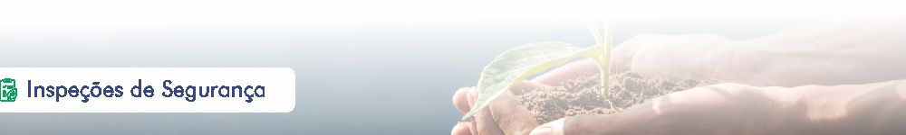 inspeções de segurança